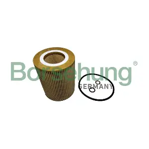 B12457 Borsehung