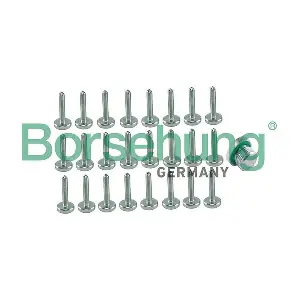 B12749 Borsehung
