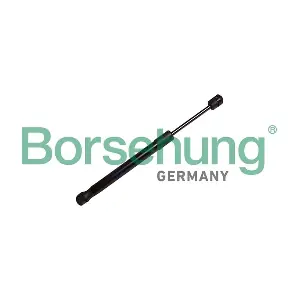B12479 Borsehung