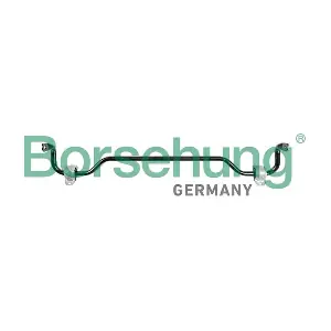 B10813 Borsehung