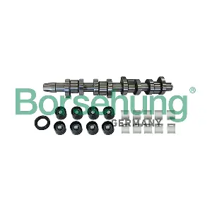 Borsehung B11307