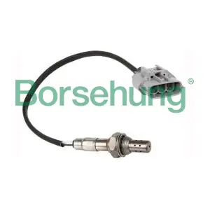 Borsehung B16928