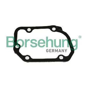 B17831 Borsehung