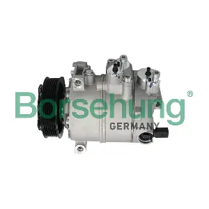 B19149 Borsehung