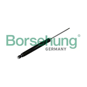 Borsehung B11181
