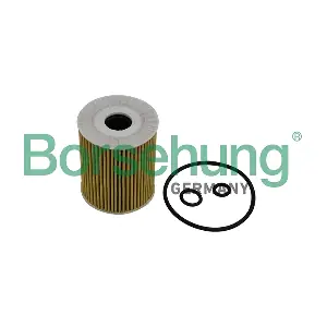 B10533 Borsehung