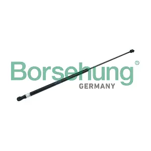 B18427 Borsehung