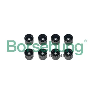 B12977 Borsehung