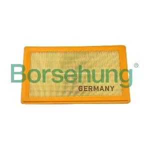 Borsehung B12399