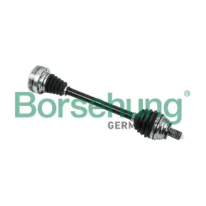 B18323 Borsehung