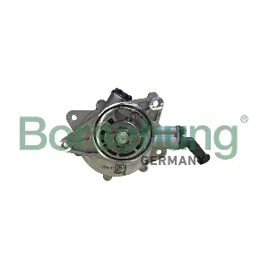 Borsehung B12391