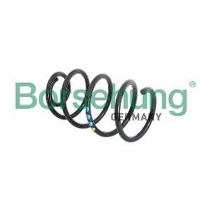 2Q0411105D BORSEHUNG