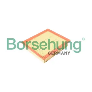B12365 Borsehung