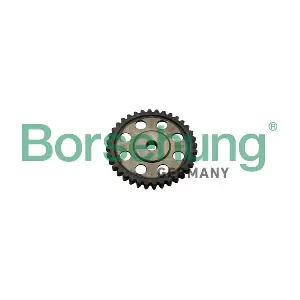 Borsehung B1S013