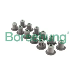B12508 Borsehung