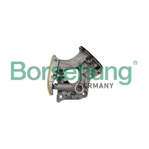 B12787 Borsehung