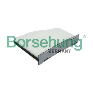 B12798 Borsehung