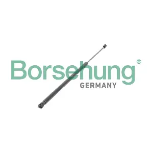 B12064 Borsehung