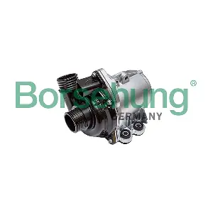 B12921 Borsehung