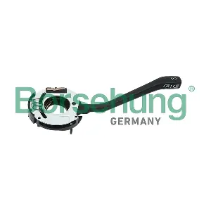 B17973 Borsehung