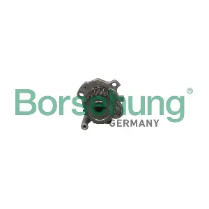 B12688 Borsehung