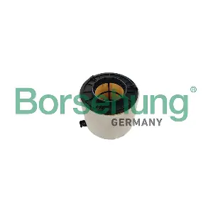 B13068 Borsehung