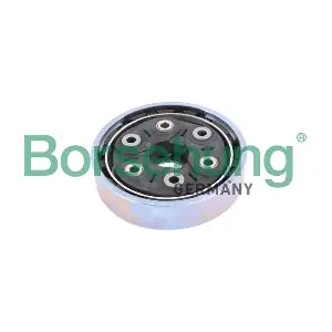 B12379 Borsehung