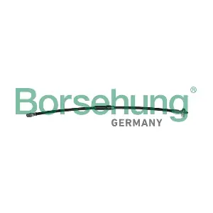 B10953 Borsehung
