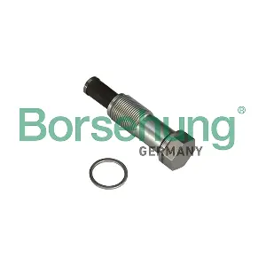 Borsehung B1T020