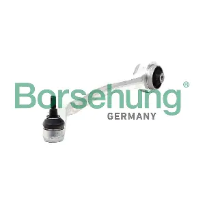 B10856 Borsehung