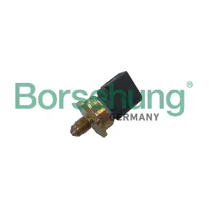B11867 Borsehung