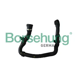 B11960 Borsehung
