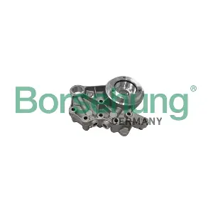 Borsehung B19307