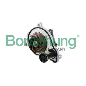 B11220 Borsehung