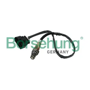 Borsehung B16926