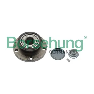B19236 Borsehung
