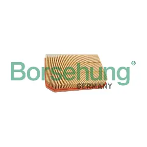 B13057 Borsehung