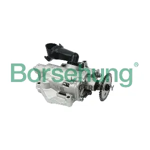B12693 Borsehung