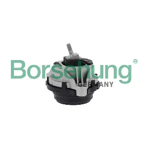 B12907 Borsehung