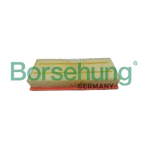 B12403 Borsehung