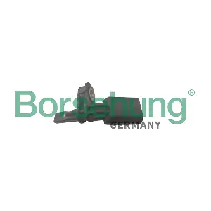 B12865 Borsehung
