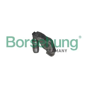 B10281 Borsehung