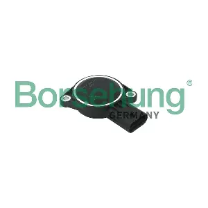 Borsehung B17951