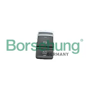 B18767 Borsehung