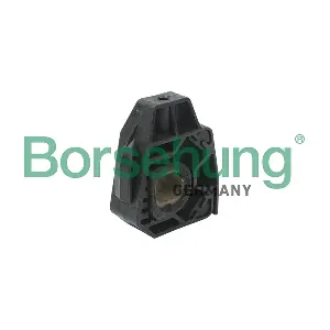 B11364 Borsehung