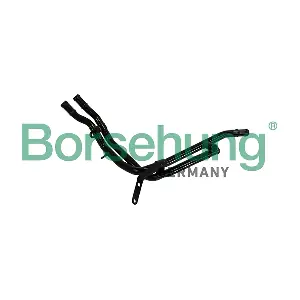 B19218 Borsehung