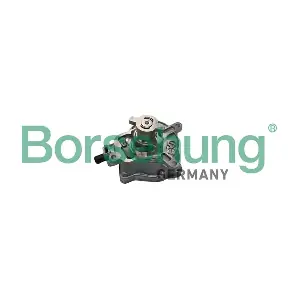 B18774 Borsehung