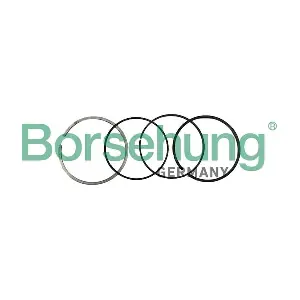 Borsehung B10370