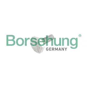 B10653 Borsehung