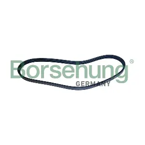 Borsehung B12500 Поліклиновий ремінь